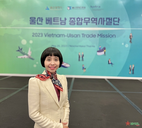 Kết nối gần 40 cuộc giao thương giữa doanh nghiệp Hàn Quốc và Việt Nam